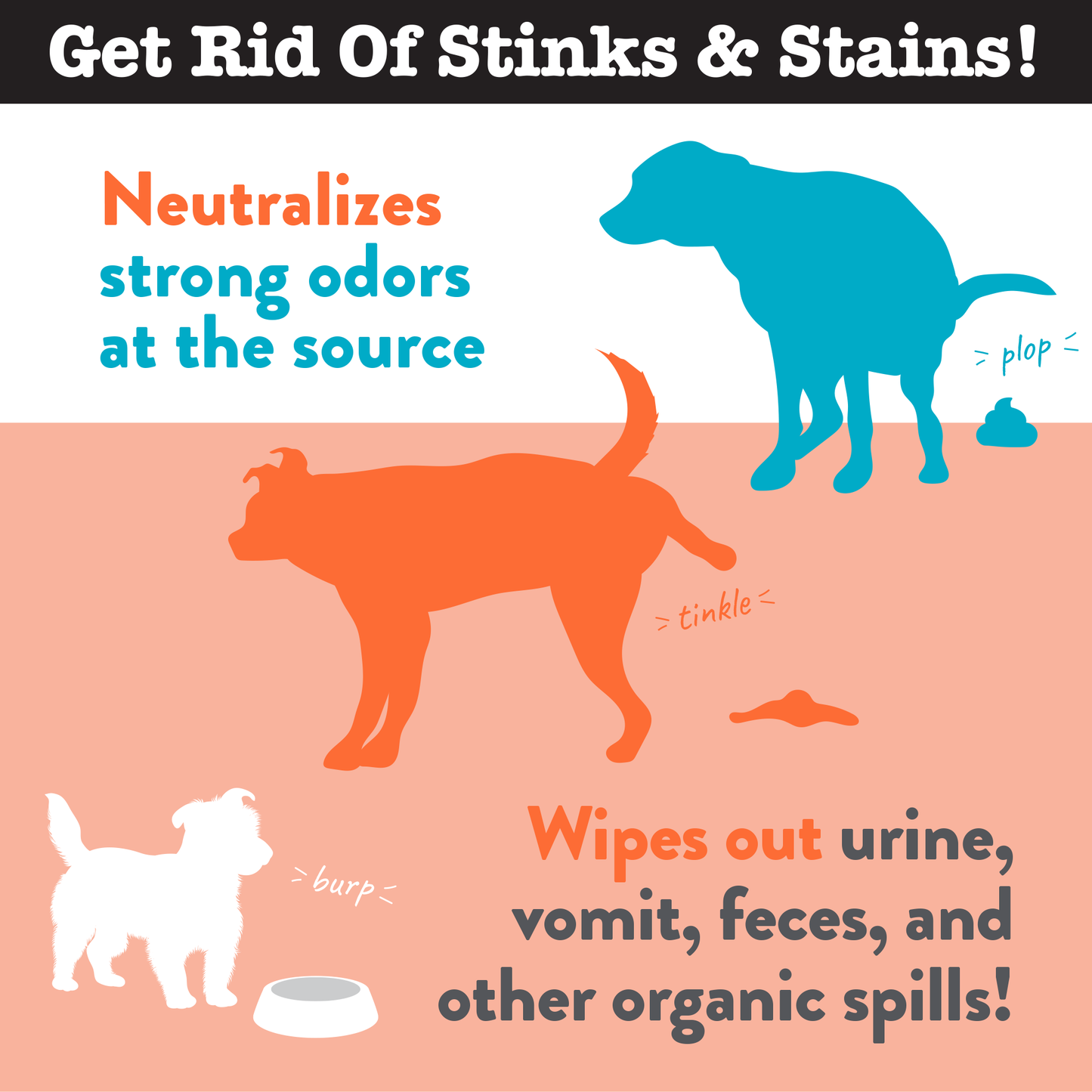 Dog Stink + Stain Eliminator